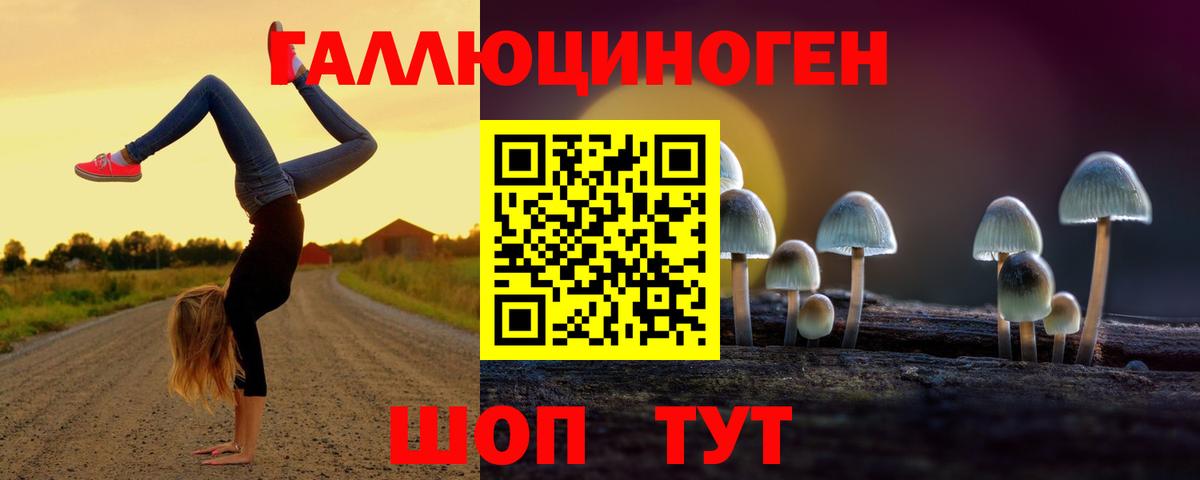 Мыски  Галлюциногенные грибы Cubensis  Вход с VPN 